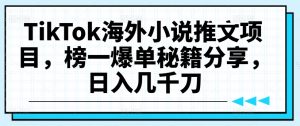 TikTok海外小说推文项目，榜一爆单秘籍分享，日入几千刀-第一资源库