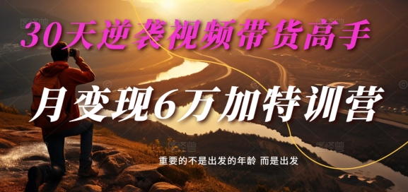 30天逆袭视频带货高手,单月变现6万加特训营-麦子甜-第一资源库