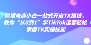 跨境电商小白一站式开启TK搞钱,教你“从0到1”学TikTok运营轻松掌握TK实操技能-第一资源库