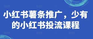 小红书薯条推广，少有的小红书投流课程-第一资源库
