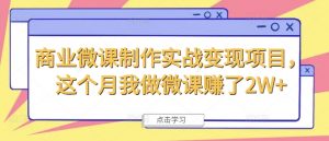 商业微课制作实战变现项目，这个月我做微课赚了2W+-第一资源库