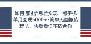 如何通过信息差实现一部手机单月变现5000+?简单无脑搬砖玩法,快看看适不适合你【揭秘】-第一资源库