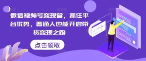 微信视频号变现营,抓住平台优势,普通人也能开启带货变现之路-第一资源库