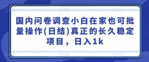 国内问卷调查小白在家也可批量操作(日结)真正的长久稳定项目，日入1k【揭秘】-第一资源库