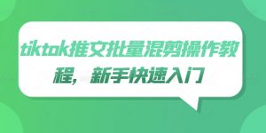 tiktok推文批量混剪操作教程，新手快速入门-第一资源库