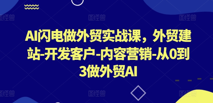 AI闪电做外贸实战课,外贸建站-开发客户-内容营销-从0到3做外贸AI(更新)-第一资源库