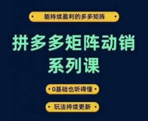 拼多多矩阵动销系列课，能持续盈利的多多矩阵，0基础也听得懂，玩法持续更新-第一资源库
