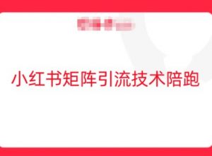 小红书矩阵引流技术，教大家玩转小红书流量-第一资源库