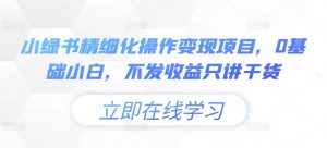 小绿书精细化操作变现项目，0基础小白，不发收益只讲干货-第一资源库