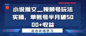小说推文—视频号玩法实操,单账号半月破5000+收益-第一资源库