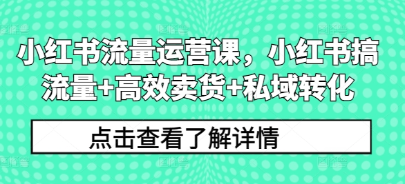 小红书流量运营课,小红书搞流量+高效卖货+私域转化-第一资源库