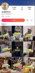 快手MT搬运技术，一比一搬运不剪辑，剧情可用，条条同框-第一资源库