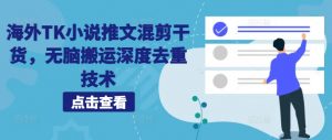 海外TK小说推文混剪干货,无脑搬运深度去重技术-第一资源库