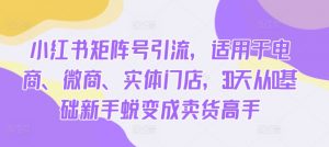 小红书矩阵号引流，适用于电商、微商、实体门店，30天从0基础新手蜕变成卖货高手-第一资源库