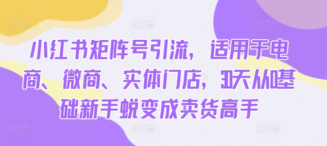小红书矩阵号引流，适用于电商、微商、实体门店，30天从0基础新手蜕变成卖货高手-第一资源库