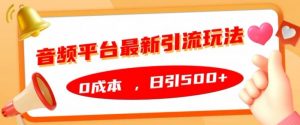 音频平台最新引流玩法,0成本,日引500+【揭秘】-第一资源库