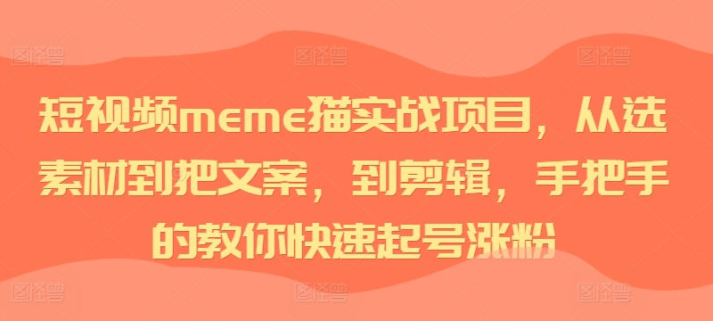 短视频meme猫实战项目,从选素材到把文案,到剪辑,手把手的教你快速起号涨粉-第一资源库