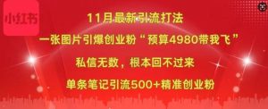 小红书11月最新图片打粉,一张图片引爆创业粉,“预算4980带我飞”,单条引流500+精准创业粉-第一资源库