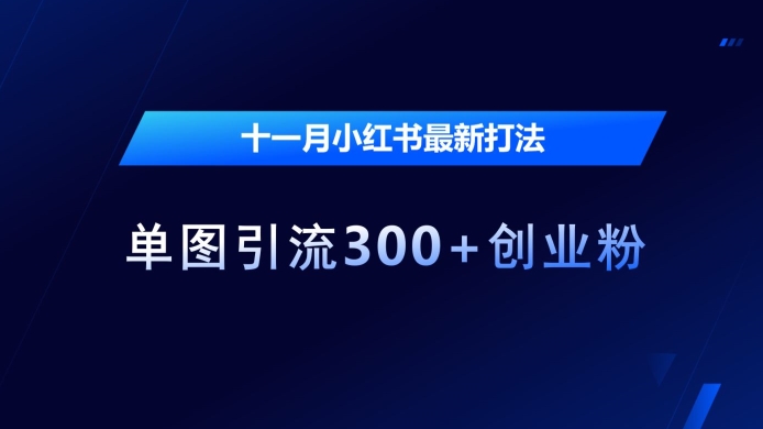 十一月小红书最新打法,单图引流300+创业粉【揭秘】-第一资源库