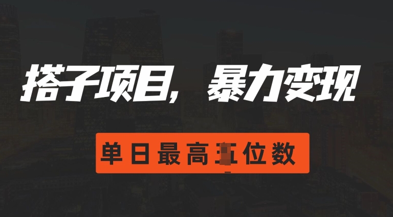 2024搭子玩法,0门槛,暴力变现,单日最高破四位数【揭秘】-第一资源库