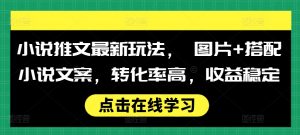 小说推文最新玩法， 图片+搭配小说文案，转化率高，收益稳定-第一资源库