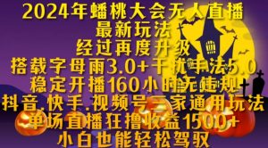 2024年蟠桃大会无人直播最新玩法,稳定开播160小时无违规,抖音、快手、视频号三家通用玩法【揭秘】-第一资源库