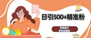 私域引流获客神器，全自动引流玩法日引 500+精准粉 加爆你的微信【揭秘】-第一资源库
