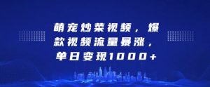 萌宠炒菜视频,爆款视频流量暴涨,单日变现1k-第一资源库
