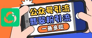 公众号利用推荐流量和搜一搜流量引流翡翠粉,一鱼多吃-第一资源库