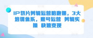 IP切片剪辑运营陪跑课，3大培训体系，账号运营 剪辑实操 快速变现-第一资源库