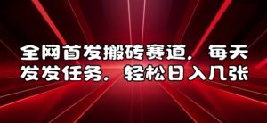 全网首发搬砖赛道,每天发发任务,轻松日入几张【揭秘】-第一资源库
