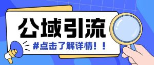 全公域平台,引流创业粉自热模版玩法,号称日引500+创业粉可矩阵操作-第一资源库