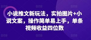 小说推文新玩法，实拍图片+小说文案，操作简单易上手，单条视频收益四位数-第一资源库