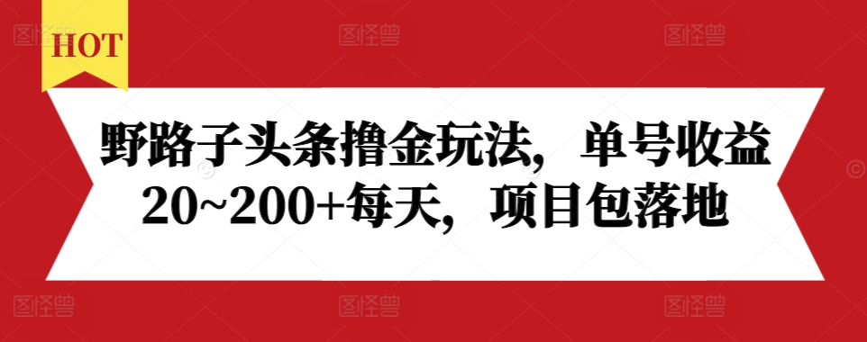 野路子头条撸金玩法，单号收益20~200+每天，项目包落地-第一资源库