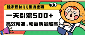 独家解密QQ里的引流密码,高效精准,实测单日加100+创业粉【揭秘】-第一资源库