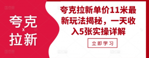 夸克拉新单价11米最新玩法揭秘,一天收入5张实操详解-第一资源库