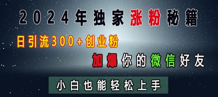 2024年独家涨粉秘籍,日引流300+创业粉,加爆你的微信好友,小白也能轻松上手-第一资源库