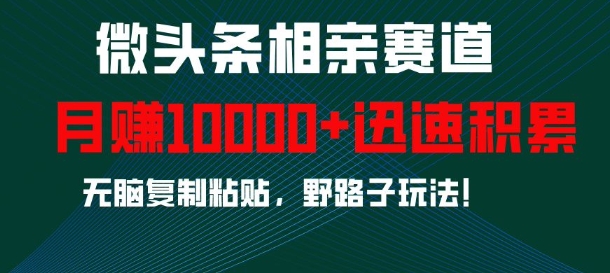 微头条相亲赛道，迅速积累，无脑复制粘贴，野路子玩法，月入1w-第一资源库
