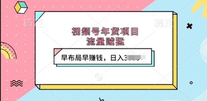 视频号年货项目,流量贼猛,早布局早挣钱,日入上k【揭秘】-第一资源库