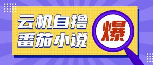 首发云手机自撸小说玩法，10块钱成本可撸200+收益操作简单【揭秘】-第一资源库