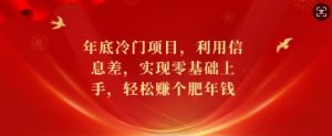 年底冷门项目，利用信息差，实现零基础上手，轻松赚个肥年钱【揭秘】-第一资源库