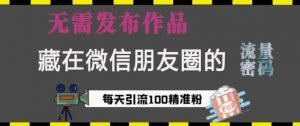 藏在微信朋友圈的流量密码,无需发布作品,单日引流100+精准创业粉【揭秘】-第一资源库