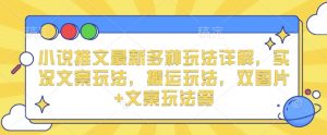 小说推文最新多种玩法详解，实况文案玩法，搬运玩法，双图片+文案玩法等-第一资源库