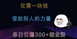 仅需一块钱,借助别人的力量,单日引爆300+创业粉、兼职粉【揭秘】-第一资源库