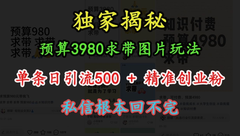 预算3980求带 图片玩法,单条日引流500+精准创业粉,私信根本回不完-第一资源库