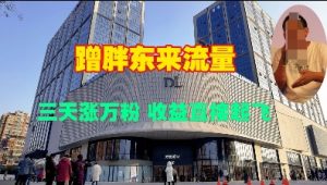 蹭胖东来流量,三天涨万粉,收益直接起飞-第一资源库