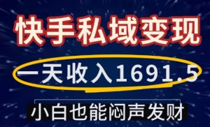 一天收入1691.5,快手私域变现,小白也能闷声发财-第一资源库