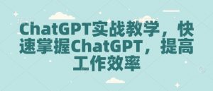 ChatGPT实战教学,快速掌握ChatGPT,提高工作效率-第一资源库