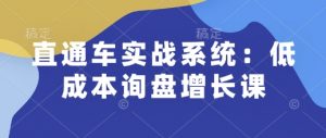 直通车实战系统:低成本询盘增长课,让个人通过技能实现升职加薪,让企业低成本获客,订单源源不断-第一资源库