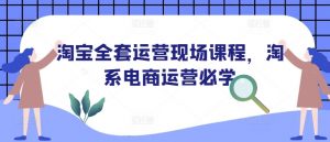 淘宝全套运营现场课程,淘系电商运营必学-第一资源库